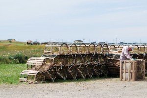 Cages ou casiers homards