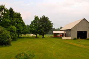 Fermette zarpents verts