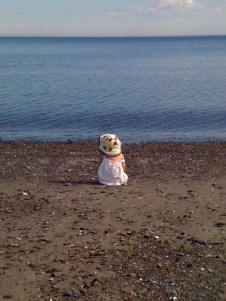 Roukie contemple la mer
