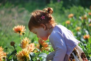 Roukie sent les fleurs