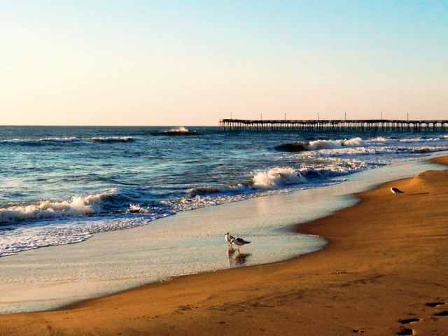 Processed with Rookie