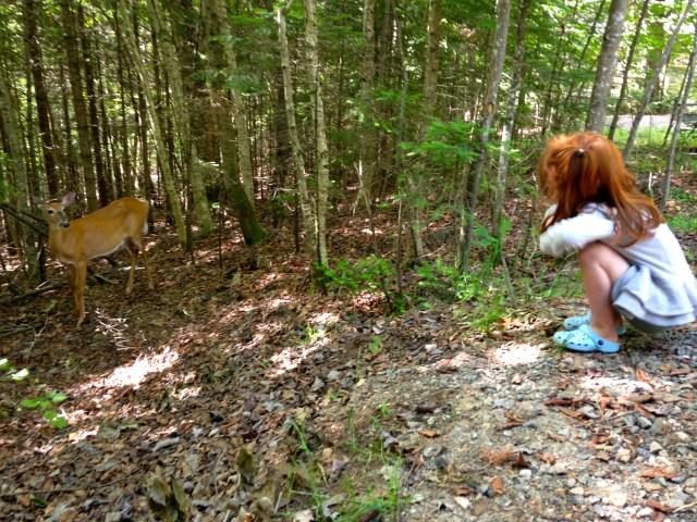 Observation de la faune tout juste à côté de notre tente Huttopia.