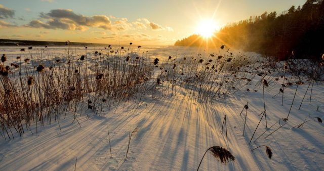 Audrey Mainguy Photographe